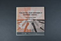 Vinyl Record Cover (front)